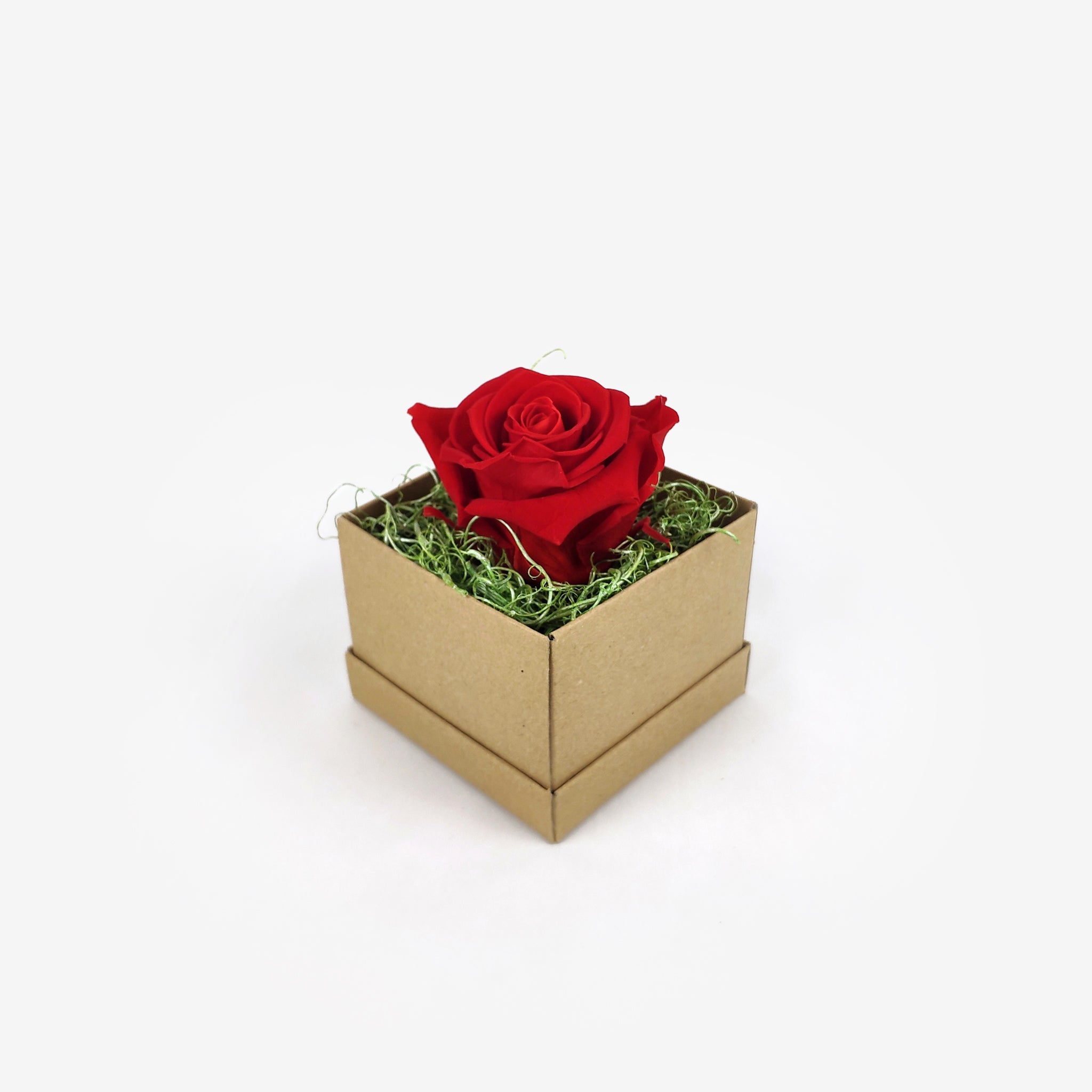 Eternity rose κόκκινο σε μικρό κουτί