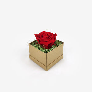 Eternity rose κόκκινο σε μικρό κουτί