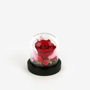 Eternity rose κόκκινο και αποξηραμένα σε μικρή γυάλα